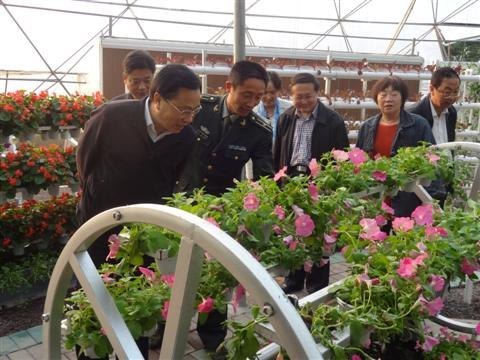 ������Ժ��һ�п����߲���ֲ����