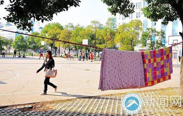 ��������  ץ��ɹ��