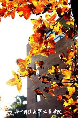 �Ļ�����