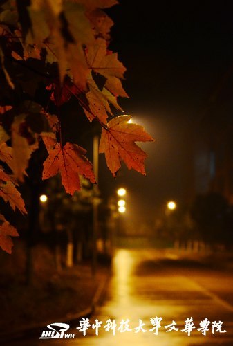 �Ļ�����