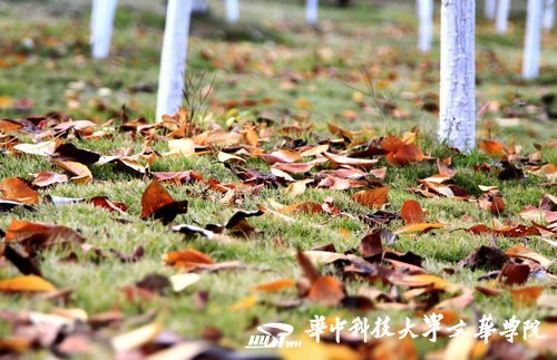 �Ļ�����