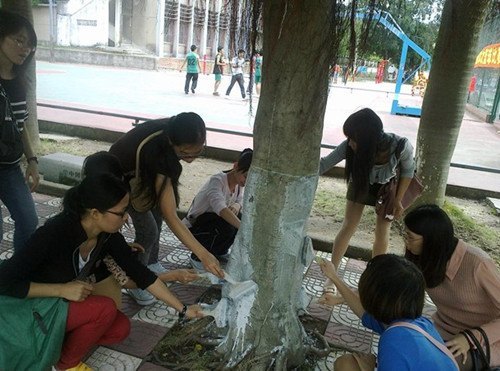 ѧУ�������Ը��ַ�ʽѧϰ�����᳹����ʮ�˴���