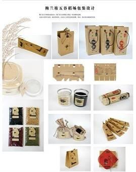 长沙师范学校在首届全国高等院校设计艺术大赛中获佳绩