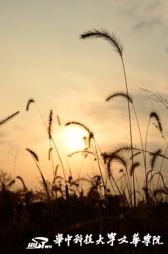 ����������Ļ��ͷ�Ҷ��