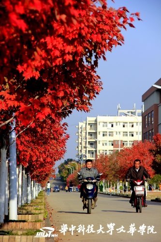 ����������Ļ��ͷ�Ҷ��