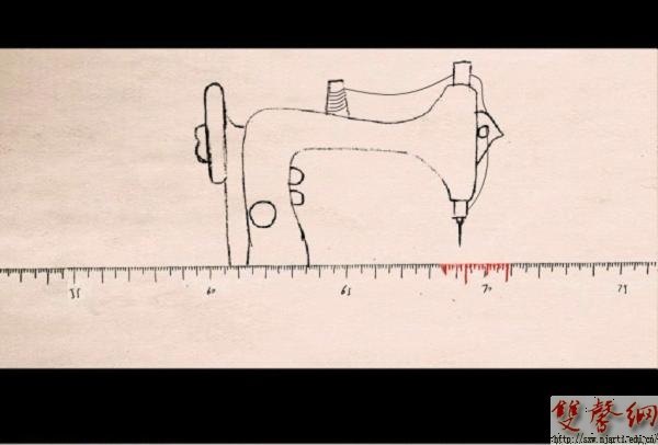 高职学生获DAF国际大学生“反对皮草”设计大赛奖项