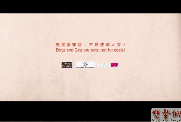 高职学生获DAF国际大学生“反对皮草”设计大赛奖项