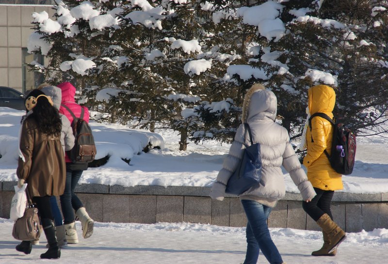 文经学子冒雪自习 备战期末