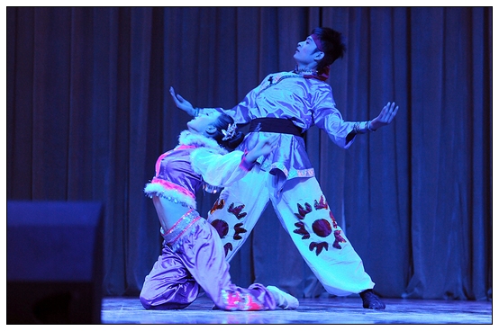 ����ѧԺ�׽��赸���ڲ������þ��б�ҵ�㱨�ݳ�