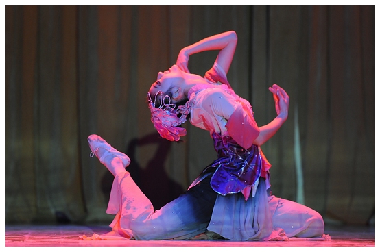 ����ѧԺ�׽��赸���ڲ������þ��б�ҵ�㱨�ݳ�