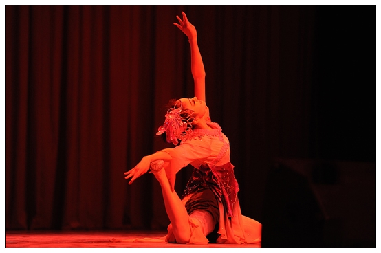 ����ѧԺ�׽��赸���ڲ������þ��б�ҵ�㱨�ݳ�