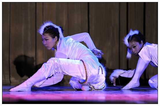 ����ѧԺ�׽��赸���ڲ������þ��б�ҵ�㱨�ݳ�