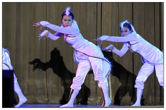 ����ѧԺ�׽��赸���ڲ������þ��б�ҵ�㱨�ݳ�