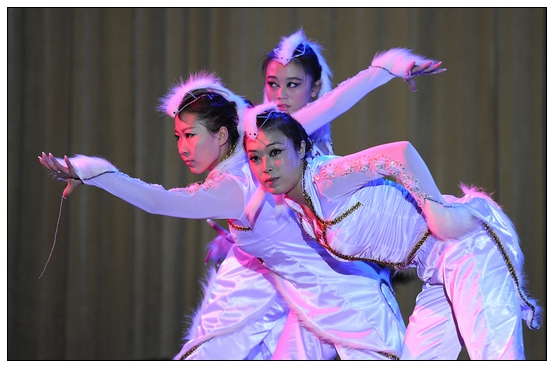 ����ѧԺ�׽��赸���ڲ������þ��б�ҵ�㱨�ݳ�