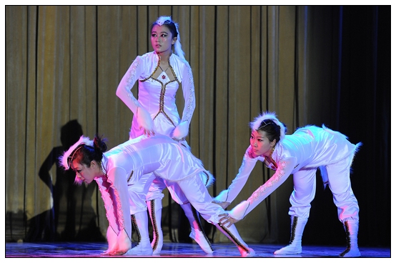 ����ѧԺ�׽��赸���ڲ������þ��б�ҵ�㱨�ݳ�