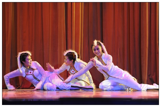 ����ѧԺ�׽��赸���ڲ������þ��б�ҵ�㱨�ݳ�