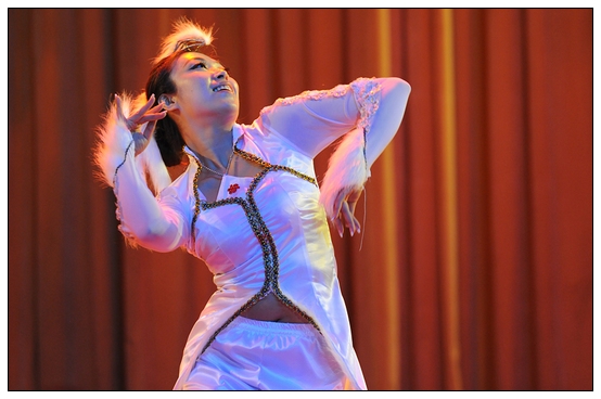 ����ѧԺ�׽��赸���ڲ������þ��б�ҵ�㱨�ݳ�