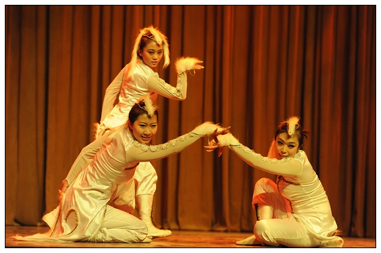 ����ѧԺ�׽��赸���ڲ������þ��б�ҵ�㱨�ݳ�