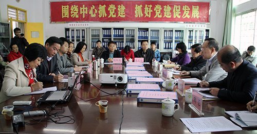 组织部开展“丰湖党旗红”书记项目党建工作检查验收工作