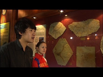 ѧĹƵίʮƬֺ߽ݡ󼴽