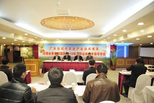 岭南水果创新团队年度总结会在肇举行 果树研究所承办