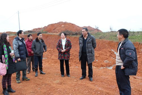 刘力书记、邓艳葵副院长视察五合新校区一期工程建设进展情况