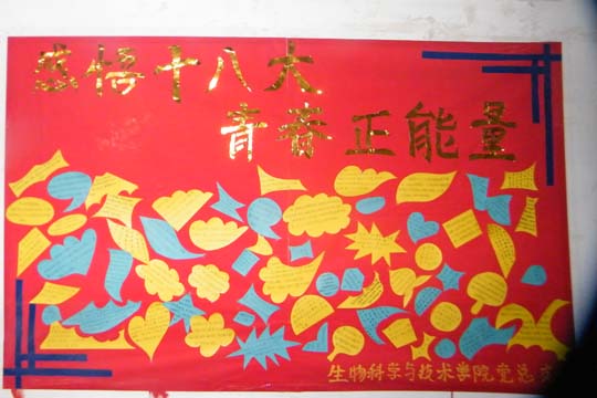 ����ѧԺ����ѧϰר��չʾѧϰʮ�˴����ĵ�