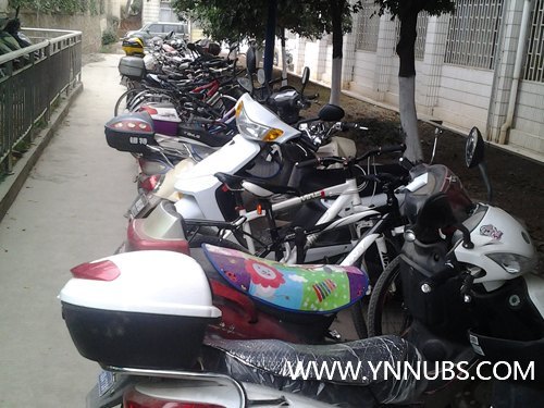 迎评促建,打造和谐校园,我们在行动