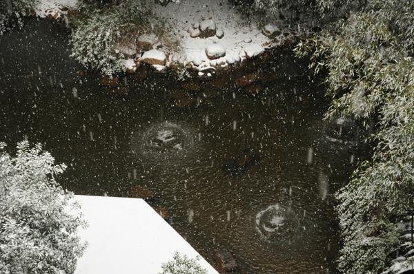 ��װ�ع���У԰����ͼ��