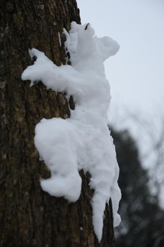 ��װ�ع���У԰����ͼ��