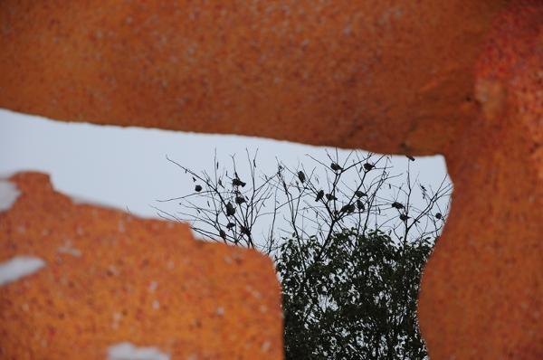 ��װ�ع���У԰����ͼ��