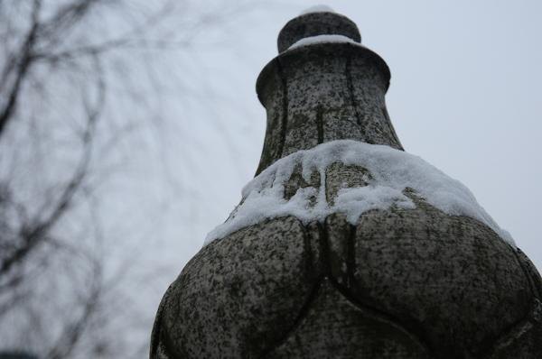 ��װ�ع���У԰����ͼ��