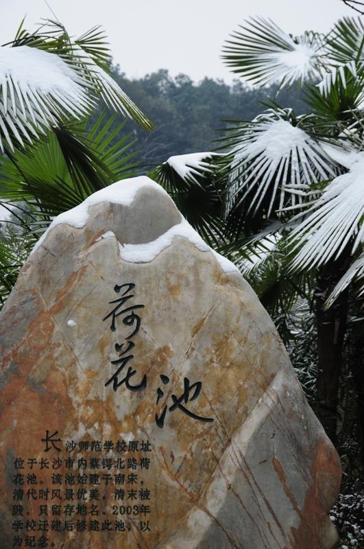 ��װ�ع���У԰����ͼ��