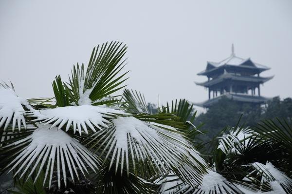 ��װ�ع���У԰����ͼ��