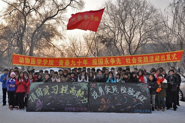 ����ʵϰ���ȷ�  Ͷ��ʵ������������ʵϰ���ȷ�  Ͷ��ʵ��������