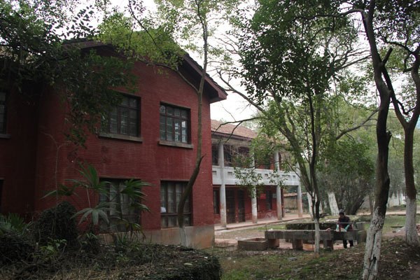 �������մ�ѧԺ����������ѡ����ʡ��һ��������ִ�����