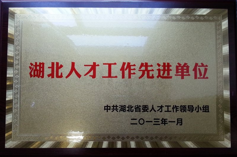 湖北工业大学获首届“湖北人才工作先进单位”称号