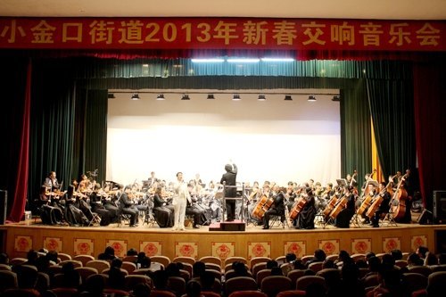 高雅音乐进社区 普及交响乐知识