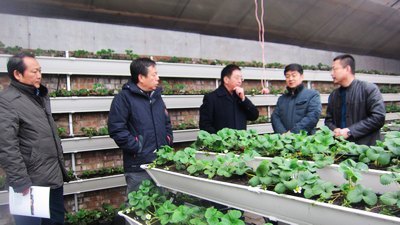 У�쵼��ͨ����������ҵ��չ����