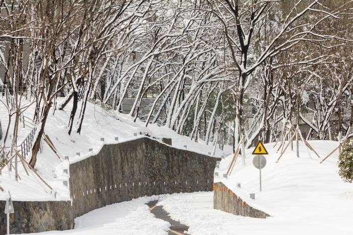 ��ͼ�ı�����ѩ������