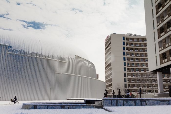 ��ͼ�ı�����ѩ������