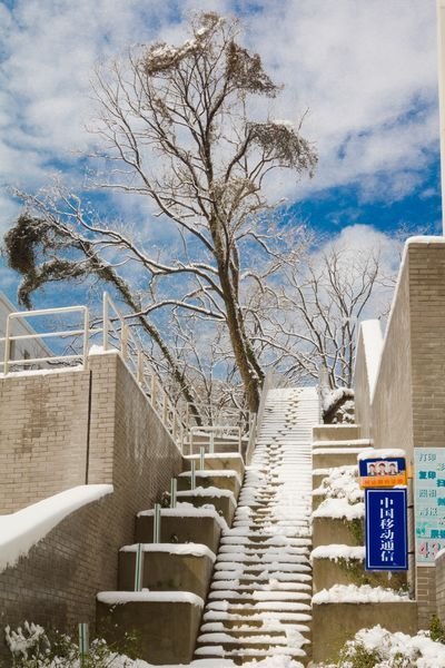 ��ͼ�ı�����ѩ������