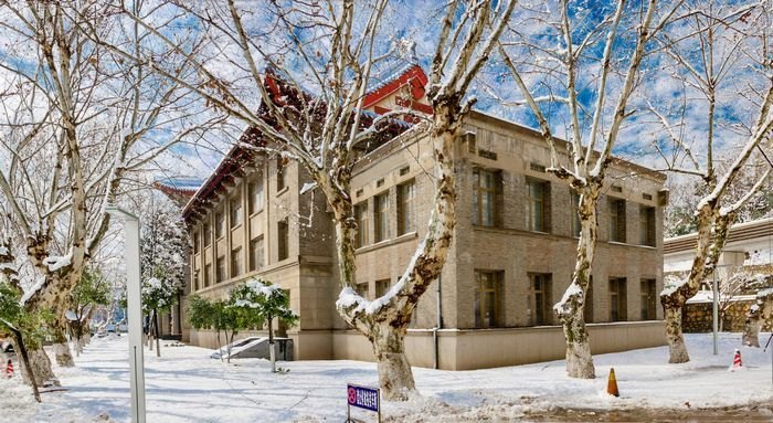 ��ͼ�ı�����ѩ������