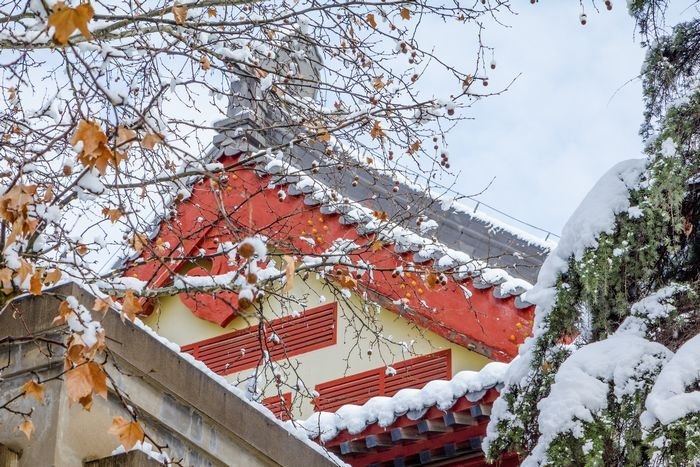 ��ͼ�ı�����ѩ������