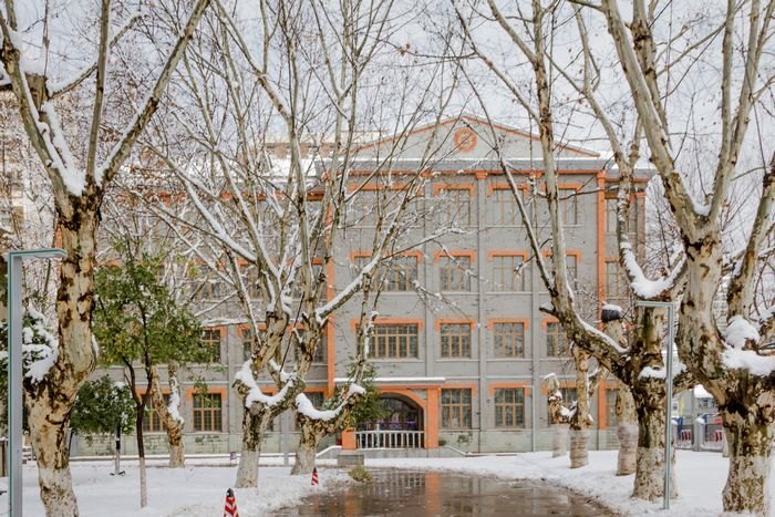 ��ͼ�ı�����ѩ������