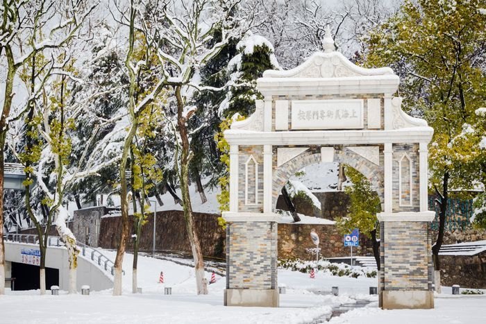 ��ͼ�ı�����ѩ������