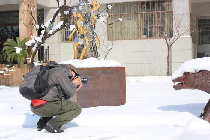 ��ͼ�ı�����ѩ������