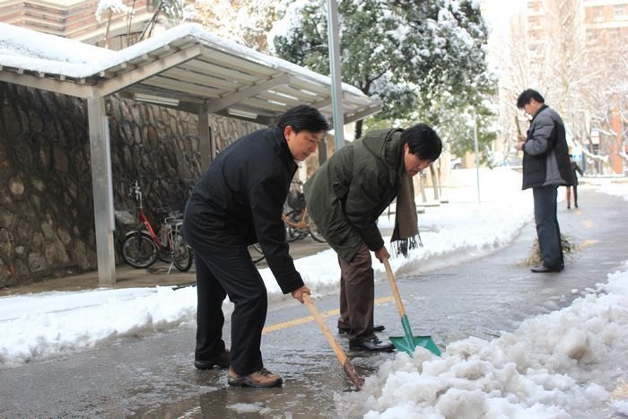 ��ͼ�ı�����ѩ������