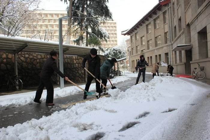 ��ͼ�ı�����ѩ������