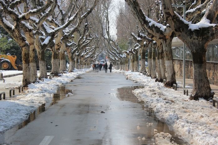 ��ͼ�ı�����ѩ������